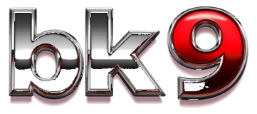 bk9 logo